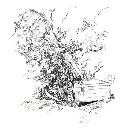 A black-and-white ink drawing of a dumpster, sitting in the shade of a large tree.